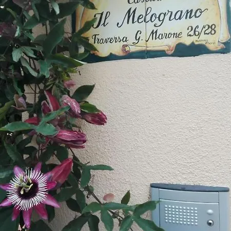 Arcadia E Vacanze Lacco Ameno (Isola d'Ischia)